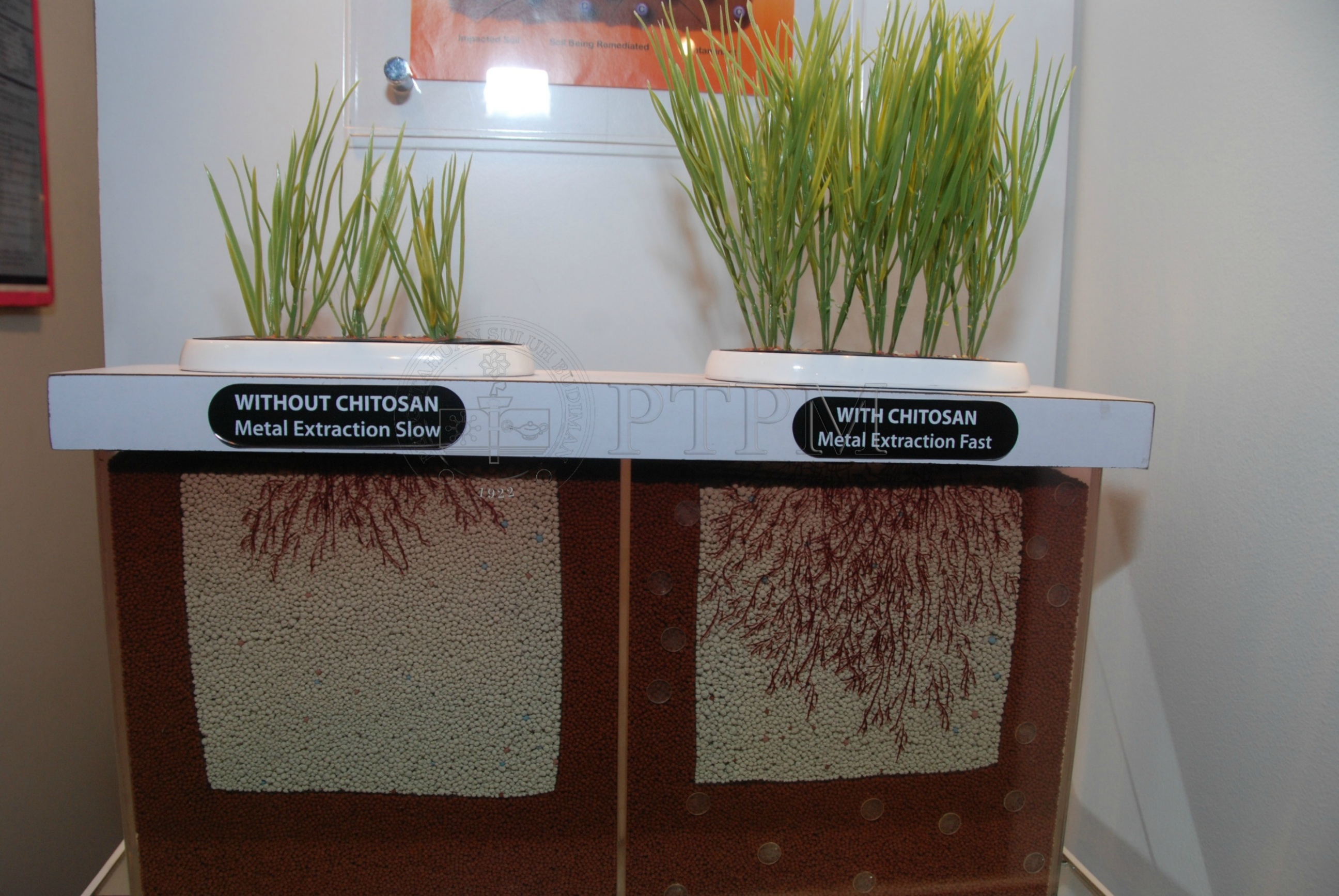 PTPM 12 11 MTE DSC 5941